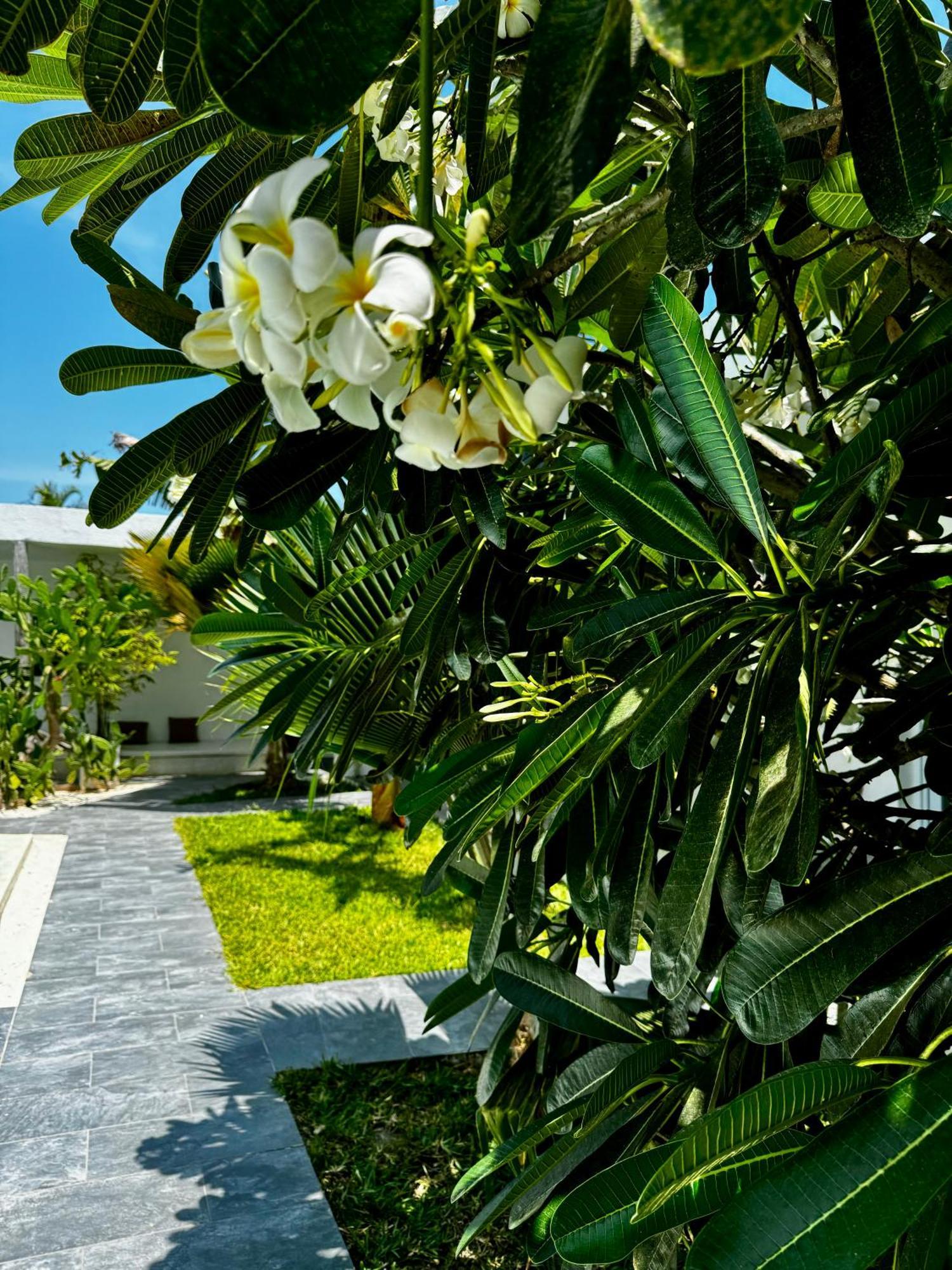 La Base Hotel Kiwengwa  Εξωτερικό φωτογραφία